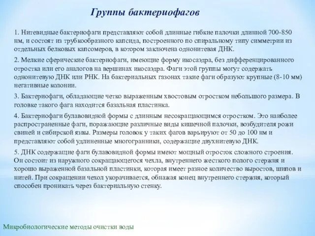 Группы бактериофагов 1. Нитевидные бактериофаги представляют собой длинные гибкие палочки длинной 700-850