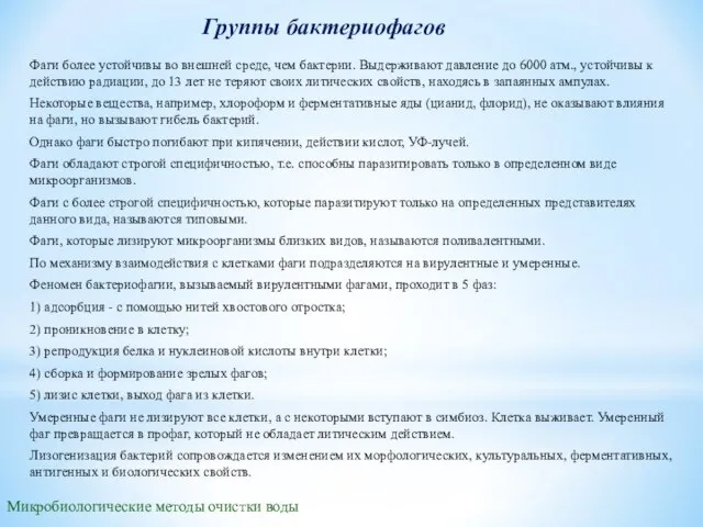 Группы бактериофагов Фаги более устойчивы во внешней среде, чем бактерии. Выдерживают давление