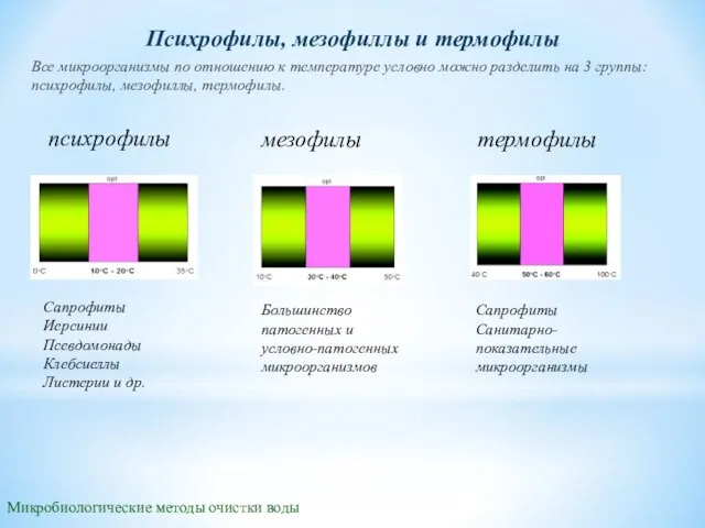 Микробиологические методы очистки воды Психрофилы, мезофиллы и термо­филы Все микроорганизмы по отношению