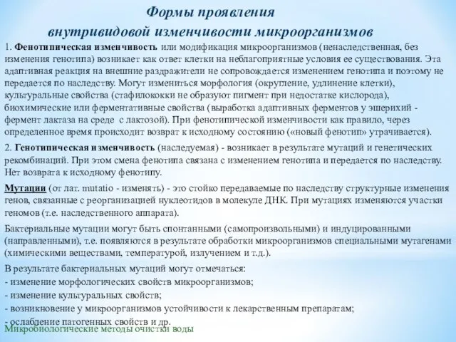 Формы проявления внутривидовой изменчивости микроорганизмов Микробиологические методы очистки воды 1. Фенотипическая изменчивость