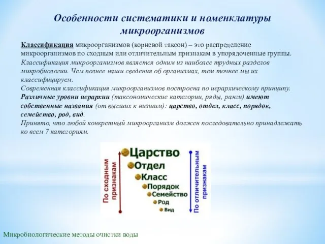 Микробиологические методы очистки воды Особенности систематики и номенклатуры микроорганизмов Классификация микроорганизмов (корневой