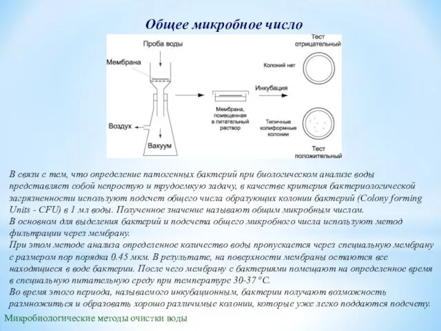 Общее микробное число Микробиологические методы очистки воды В связи с тем, что