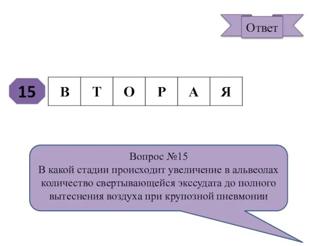 15 Вопрос №15 В какой стадии происходит увеличение в альвеолах количество свертывающейся