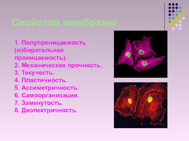 Свойства мембраны 1. Полупроницаемость (избирательная проницаемость). 2. Механическая прочность. 3. Текучесть. 4.