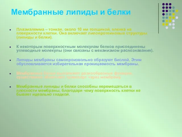 Мембранные липиды и белки Плазмалемма – тонкая, около 10 нм толщиной, пленка