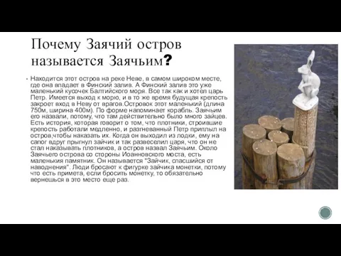 Почему Заячий остров называется Заячьим? Находится этот остров на реке Неве, в