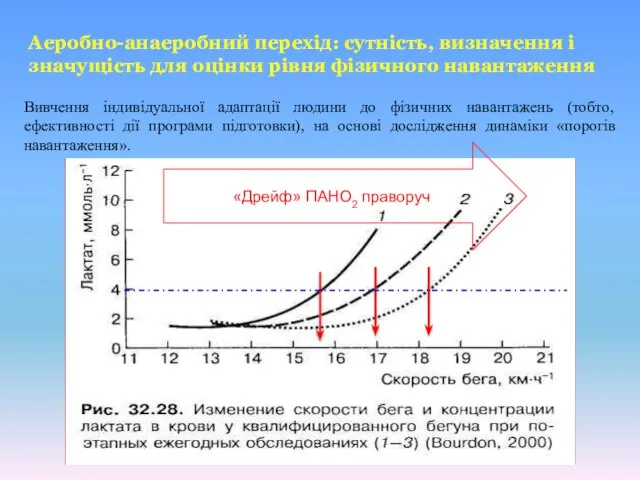 Аеробно-анаеробний перехід: сутність, визначення і значущість для оцінки рівня фізичного навантаження Вивчення