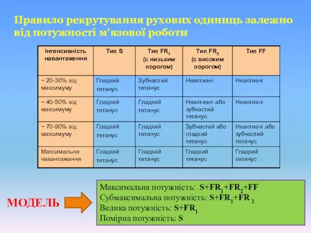 Максимальна потужність: S+FR1+FR2+FF Субмаксимальна потужність: S+FR1+FR 2 Велика потужність: S+FR1 Помірна потужність: