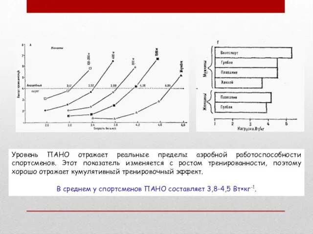 Уровень ПАНО отражает реальные пределы аэробной работоспособности спортсменов. Этот показатель изменяется с