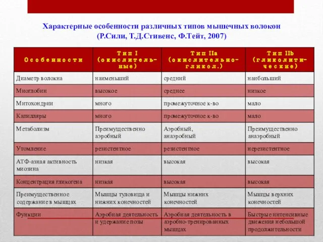 Характерные особенности различных типов мышечных волокон (Р.Сили, Т.Д.Стивенс, Ф.Тейт, 2007)