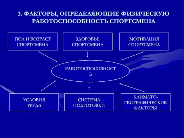 3. ФАКТОРЫ, ОПРЕДЕЛЯЮЩИЕ ФИЗИЧЕСКУЮ РАБОТОСПОСОБНОСТЬ СПОРТСМЕНА РАБОТОСПОСОБНОСТЬ ПОЛ И ВОЗРАСТ СПОРТСМЕНА ЗДОРОВЬЕ