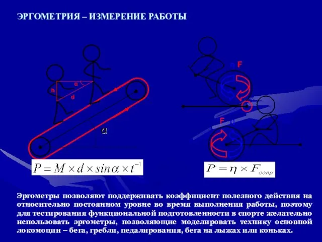 ЭРГОМЕТРИЯ – ИЗМЕРЕНИЕ РАБОТЫ Эргометры позволяют поддерживать коэффициент полезного действия на относительно