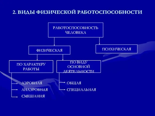 2. ВИДЫ ФИЗИЧЕСКОЙ РАБОТОСПОСОБНОСТИ РАБОТОСПОСОБНОСТЬ ЧЕЛОВЕКА ПСИХИЧЕСКАЯ ФИЗИЧЕСКАЯ ПО ХАРАКТЕРУ РАБОТЫ ПО