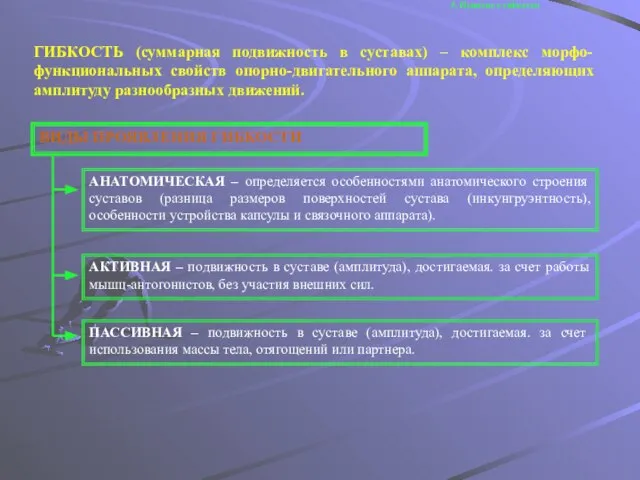 5. Понятие о гибкости ГИБКОСТЬ (суммарная подвижность в суставах) – комплекс морфо-функциональных