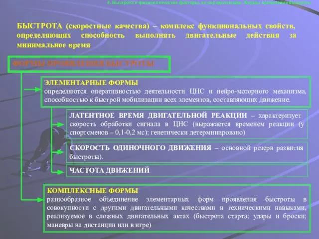 ФОРМЫ ПРОЯВЛЕНИЯ БЫСТРОТЫ ЭЛЕМЕНТАРНЫЕ ФОРМЫ определяются оперативностью деятельности ЦНС и нейро-моторного механизма,