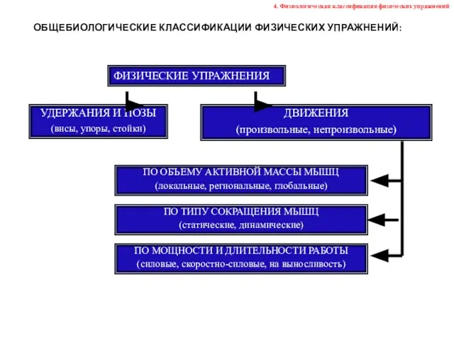 ОБЩЕБИОЛОГИЧЕСКИЕ КЛАССИФИКАЦИИ ФИЗИЧЕСКИХ УПРАЖНЕНИЙ: ФИЗИЧЕСКИЕ УПРАЖНЕНИЯ УДЕРЖАНИЯ И ПОЗЫ (висы, упоры, стойки)