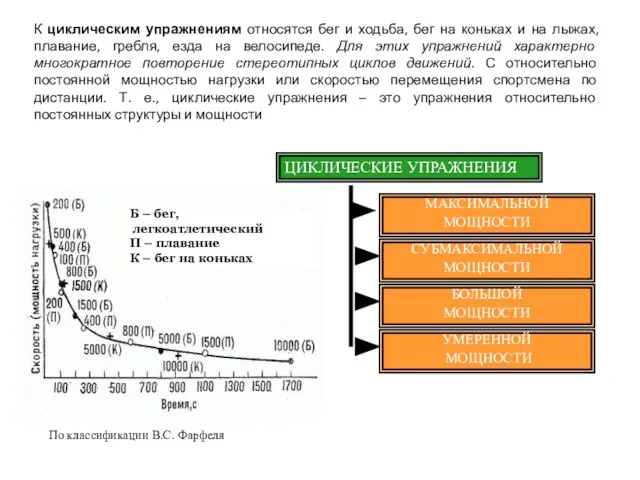 К циклическим упражнениям относятся бег и ходьба, бег на коньках и на