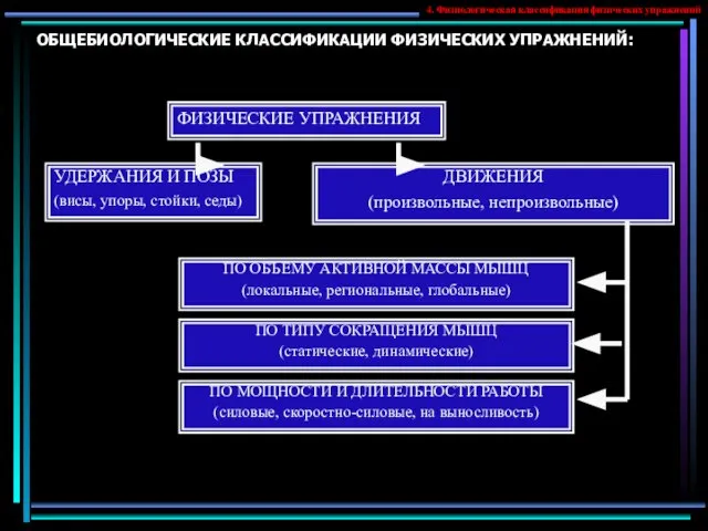 ОБЩЕБИОЛОГИЧЕСКИЕ КЛАССИФИКАЦИИ ФИЗИЧЕСКИХ УПРАЖНЕНИЙ: ФИЗИЧЕСКИЕ УПРАЖНЕНИЯ УДЕРЖАНИЯ И ПОЗЫ (висы, упоры, стойки,