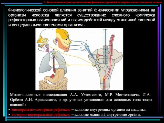 Физиологической основой влияния занятий физическими упражнениями на организм человека является существование сложного