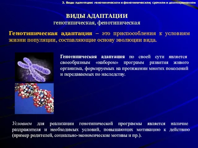 ВИДЫ АДАПТАЦИИ генотипическая, фенотипическая Генотипическая адаптация – это приспособления к условиям жизни