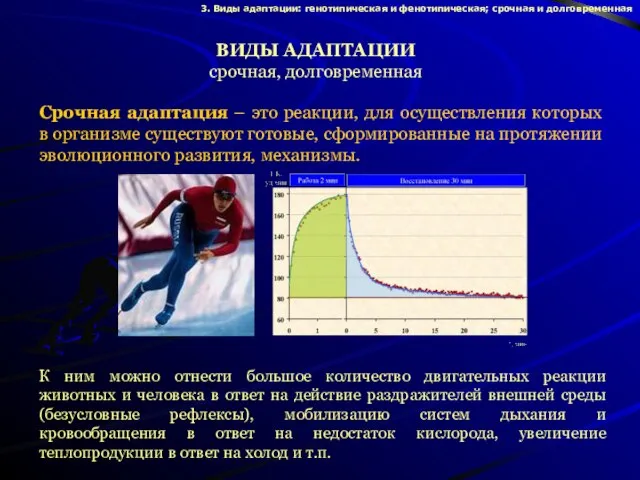 Срочная адаптация – это реакции, для осуществления которых в организме существуют готовые,