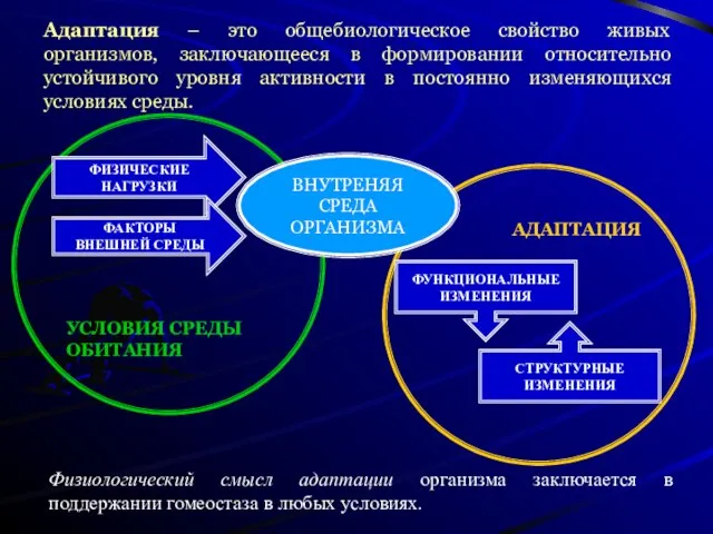 УСЛОВИЯ СРЕДЫ ОБИТАНИЯ АДАПТАЦИЯ Адаптация – это общебиологическое свойство живых организмов, заключающееся