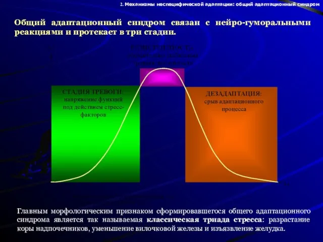 Общий адаптационный синдром связан с нейро-гуморальными реакциями и протекает в три стадии.