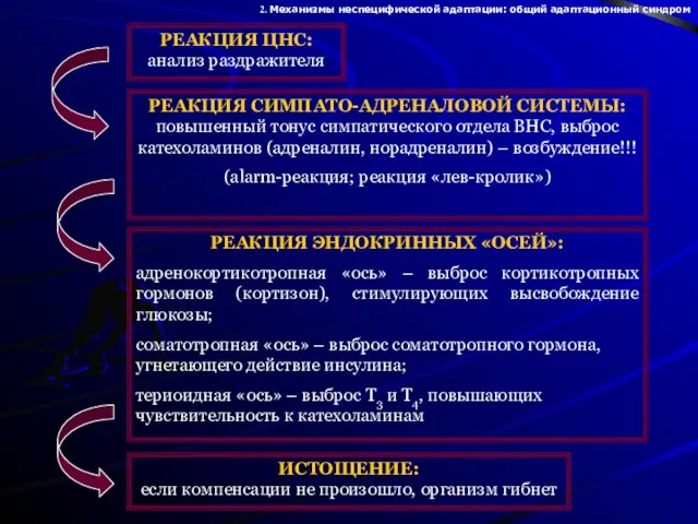 РЕАКЦИЯ ЦНС: анализ раздражителя РЕАКЦИЯ СИМПАТО-АДРЕНАЛОВОЙ СИСТЕМЫ: повышенный тонус симпатического отдела ВНС,