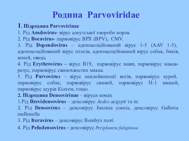 1. Підродина Parvovirinae 1. Рід Amdovirus- вірус алеутської хвороби норок 2. Рід