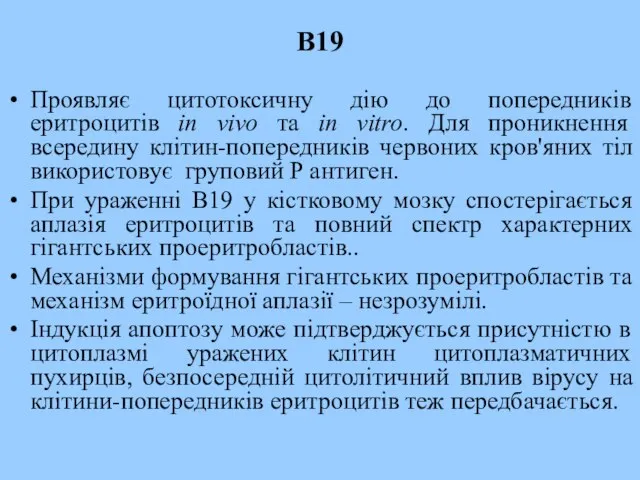 B19 Проявляє цитотоксичну дію до попередників еритроцитів in vivo та in vitro.