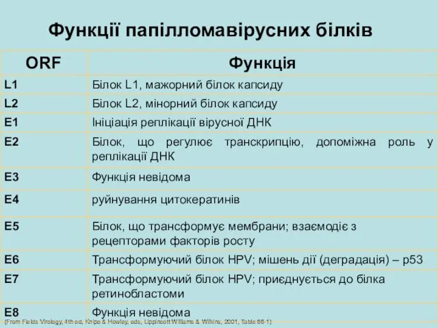 Функції папілломавірусних білків (From Fields Virology, 4th ed, Knipe & Howley, eds,