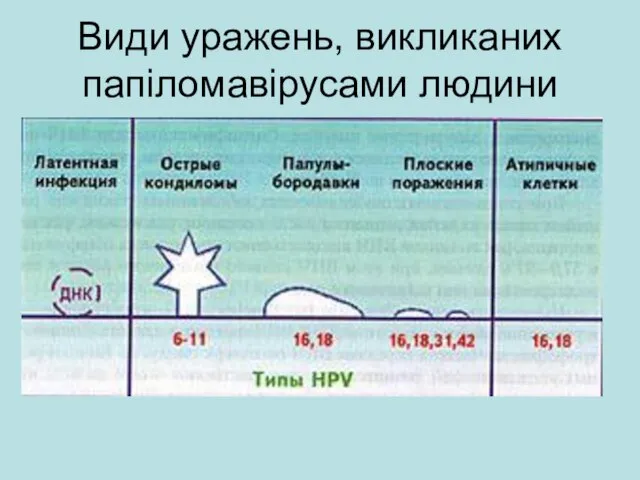 Види уражень, викликаних папіломавірусами людини