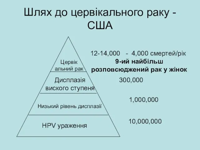 Шлях до цервікального раку - США HPV ураження Низький рівень дисплазії Дисплазія