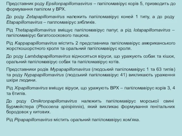 Представник роду Epsilonpapillomasvirus – папіломавірус корів 5, призводить до формування папілом у