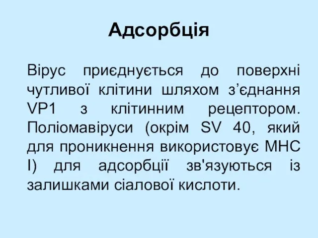 Адсорбція Вірус приєднується до поверхні чутливої клітини шляхом з’єднання VP1 з клітинним