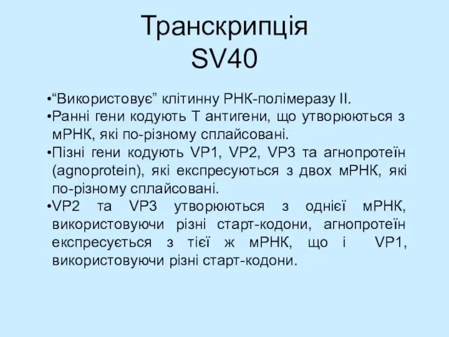 Транскрипція SV40 “Використовує” клітинну РНК-полімеразу II. Ранні гени кодують T антигени, що