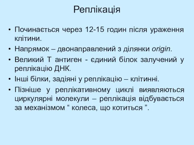 Реплікація Починається через 12-15 годин після ураження клітини. Напрямок – двонаправлений з