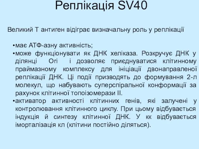 Реплікація SV40 має АТФ-азну активність; може функціонувати як ДНК хеліказа. Розкручує ДНК