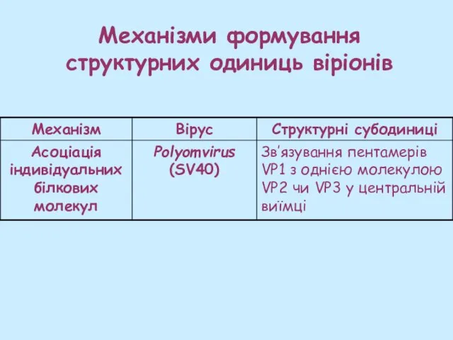 Механізми формування структурних одиниць віріонів