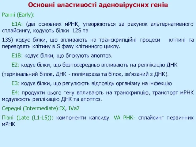 Основні властивості аденовірусних генів Ранні (Early): E1A: (дві основних мРНК, утворюються за