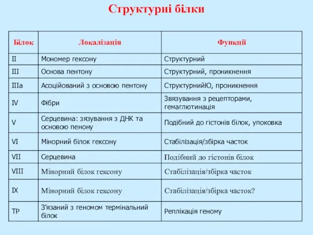 Структурні білки