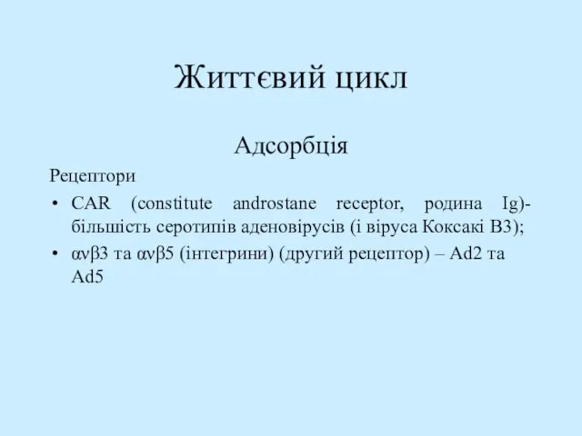 Життєвий цикл Адсорбція Рецептори CAR (constitute androstane receptor, родина Ig)-більшість серотипів аденовірусів