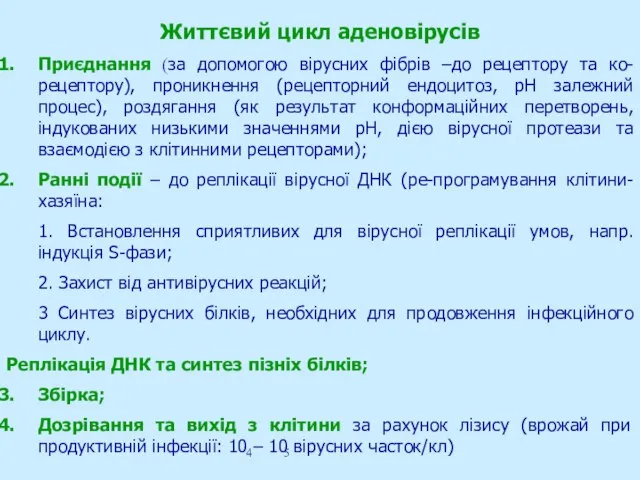 Життєвий цикл аденовірусів Приєднання (за допомогою вірусних фібрів –до рецептору та ко-рецептору),