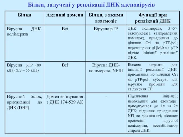 Білки, залучені у реплікації ДНК аденовірусів