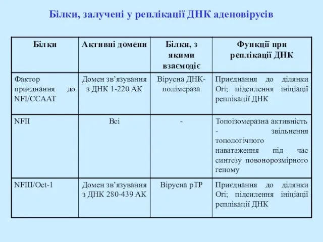 Білки, залучені у реплікації ДНК аденовірусів