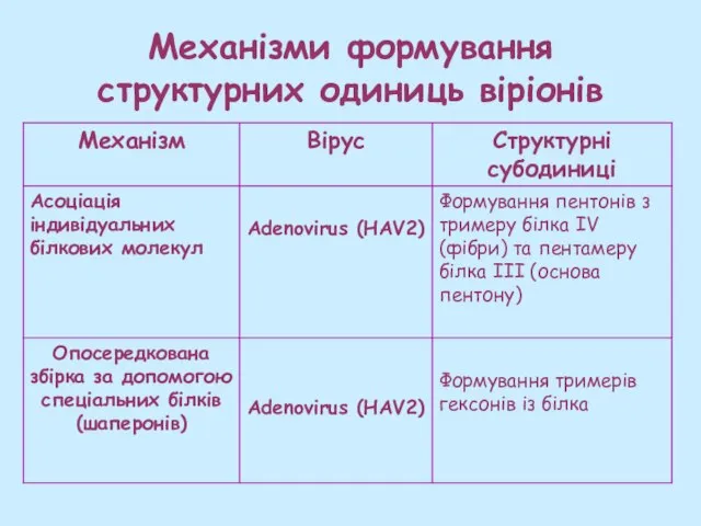 Механізми формування структурних одиниць віріонів