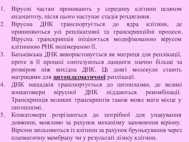 Вірусні частки проникають у середину клітини шляхом ендоцитозу, після цього наступає стадія