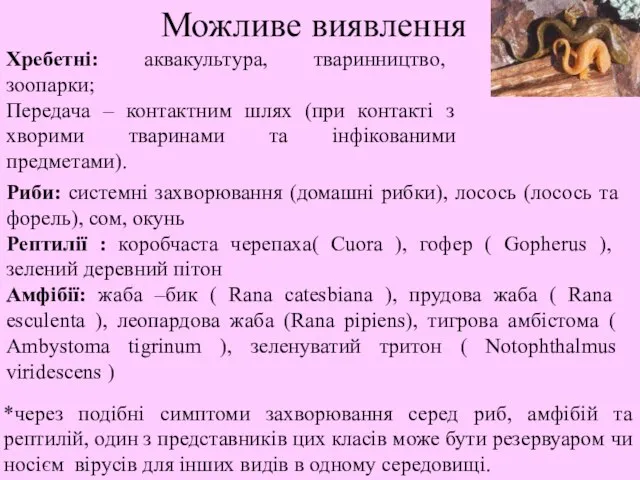 Хребетні: аквакультура, тваринництво, зоопарки; Передача – контактним шлях (при контакті з хворими