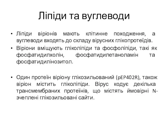 Ліпіди та вуглеводи Ліпіди віріонів мають клітинне походження, а вуглеводи входять до