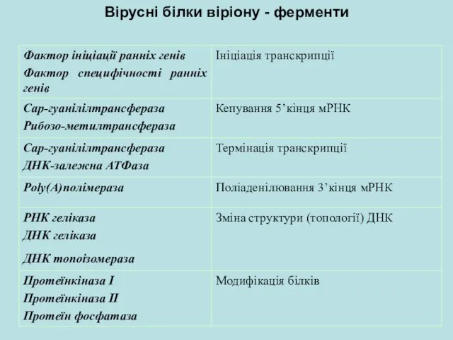 Вірусні білки віріону - ферменти